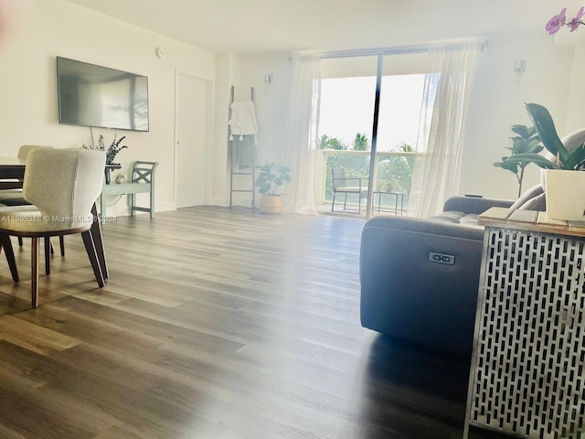 living room featuring wood-type flooring