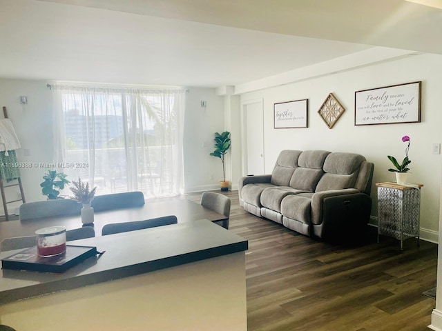 living room with dark hardwood / wood-style floors