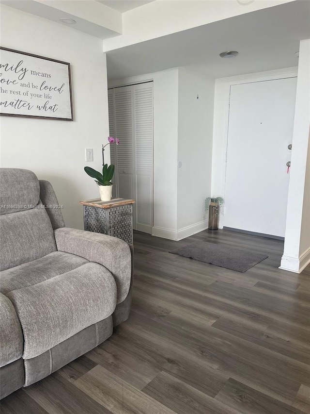 living area featuring dark hardwood / wood-style flooring