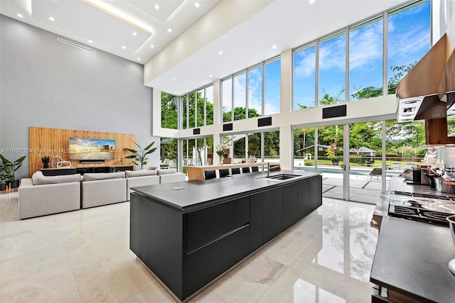 living room with a towering ceiling, plenty of natural light, and sink