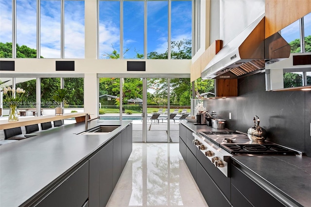 kitchen with decorative backsplash, stainless steel gas cooktop, sink, and range hood