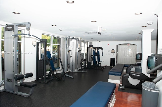 exercise room featuring dark hardwood / wood-style floors