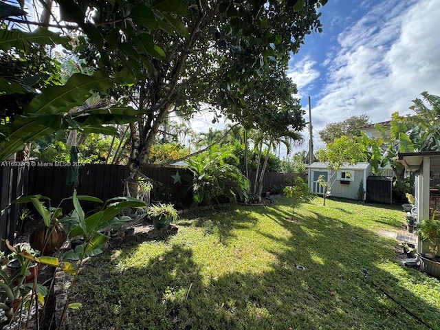 view of yard featuring a storage unit