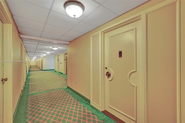 hallway featuring carpet flooring and a paneled ceiling