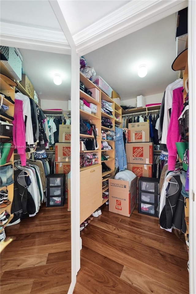 walk in closet with hardwood / wood-style floors