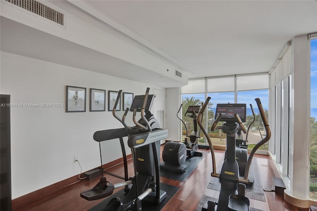 workout area featuring dark hardwood / wood-style flooring, a wall of windows, and a healthy amount of sunlight