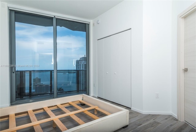 unfurnished bedroom with dark hardwood / wood-style flooring and a closet