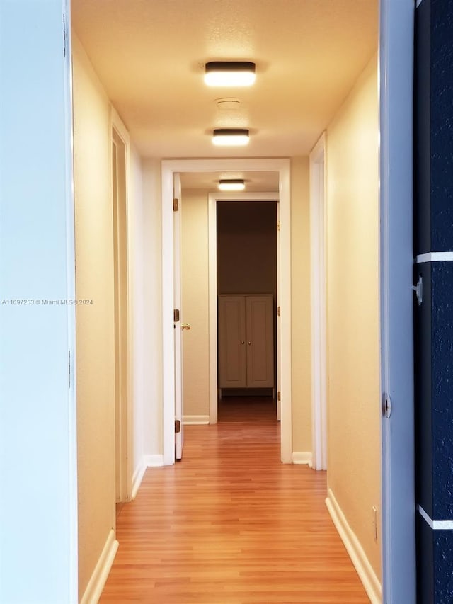 1900 Diana Dr Unit 3E, Hallandale Beach, FL 33009 - hall with light wood-style floors and baseboards