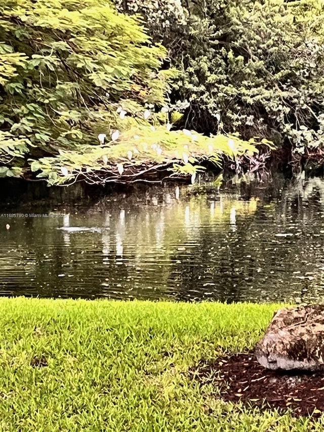 view of water feature