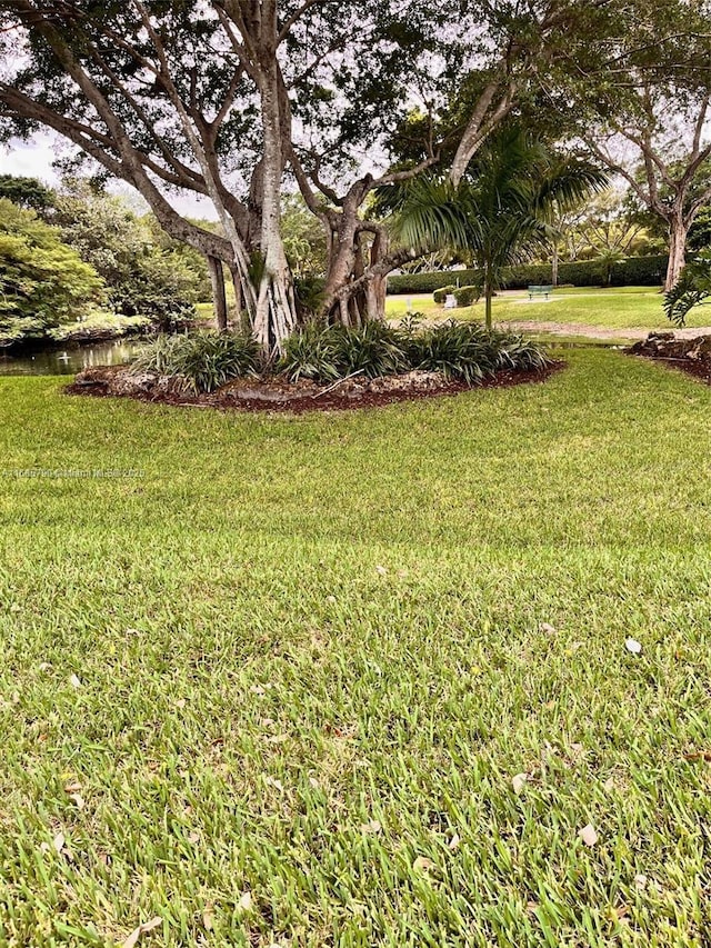 view of yard featuring a water view