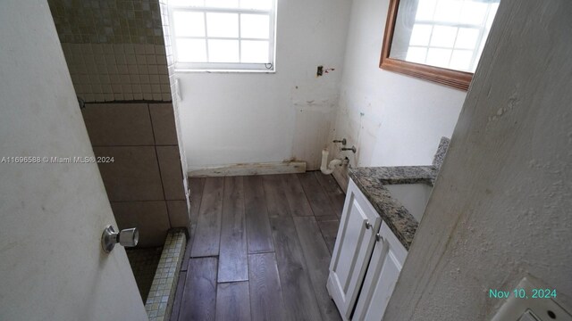 bathroom with vanity, hardwood / wood-style flooring, and a wealth of natural light