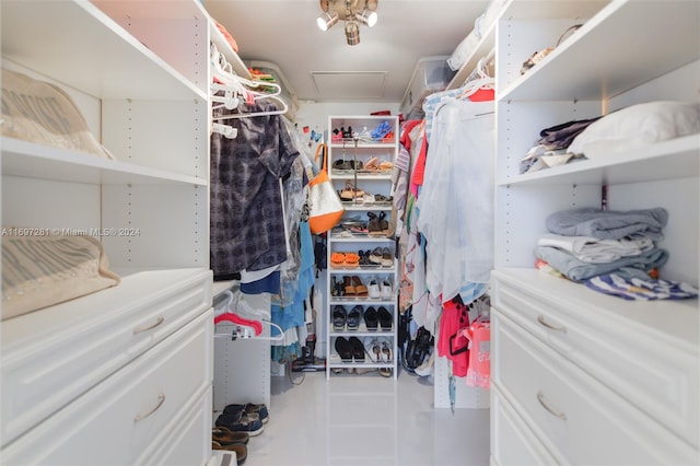 view of spacious closet