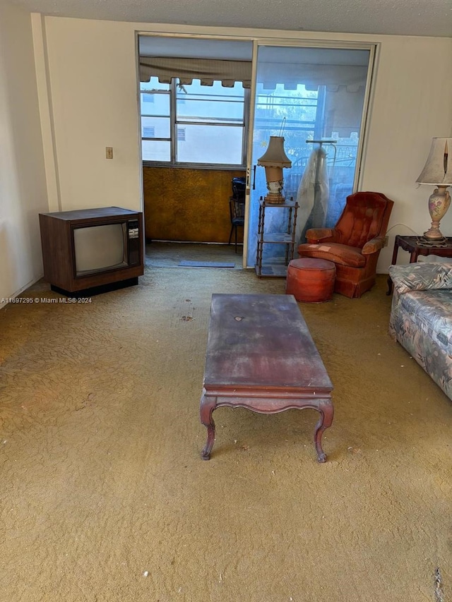 carpeted living room with a textured ceiling