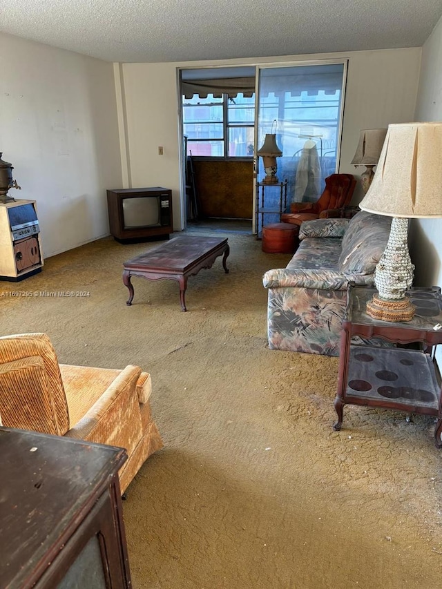 carpeted living room featuring a textured ceiling