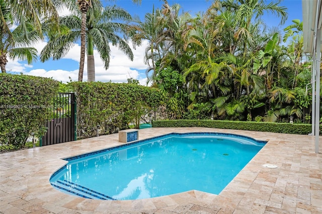 view of swimming pool featuring a patio area