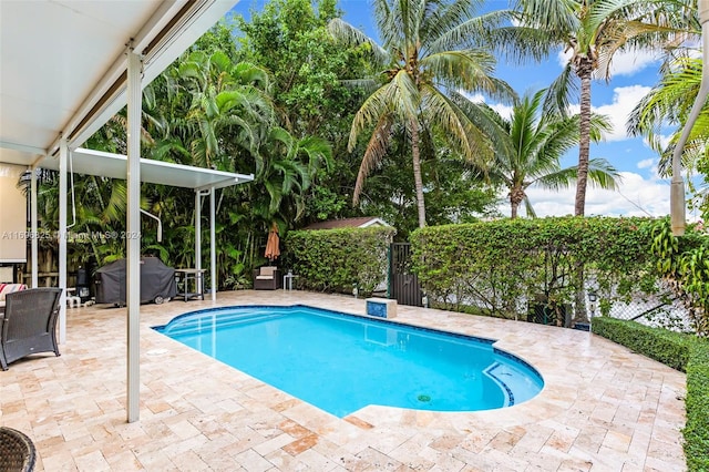 view of swimming pool with a patio area and a grill