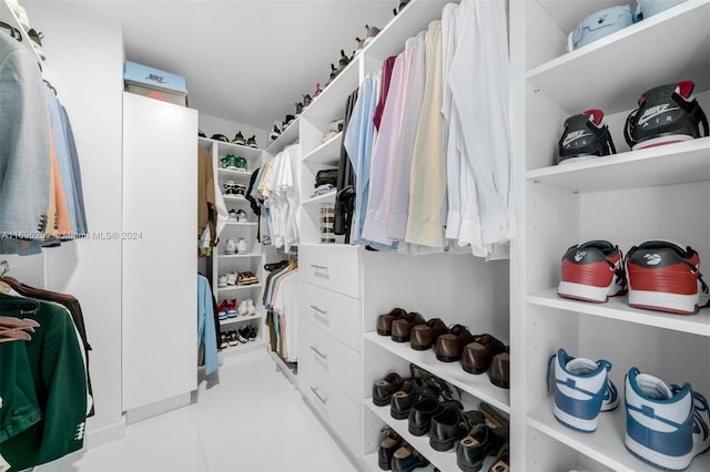 view of spacious closet