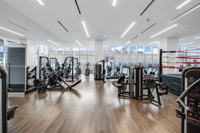 exercise room with floor to ceiling windows and hardwood / wood-style flooring