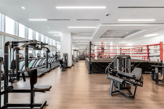 exercise room featuring a wall of windows, a tray ceiling, and light hardwood / wood-style flooring