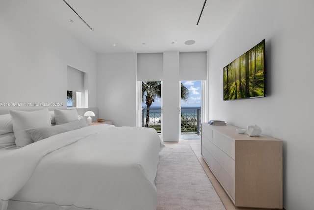 bedroom featuring light hardwood / wood-style flooring, access to outside, and multiple windows