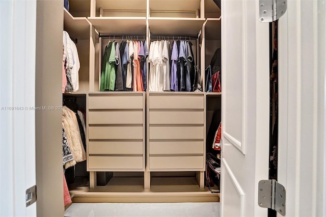 view of spacious closet