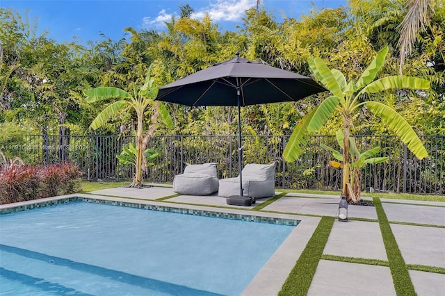 view of pool featuring a patio area