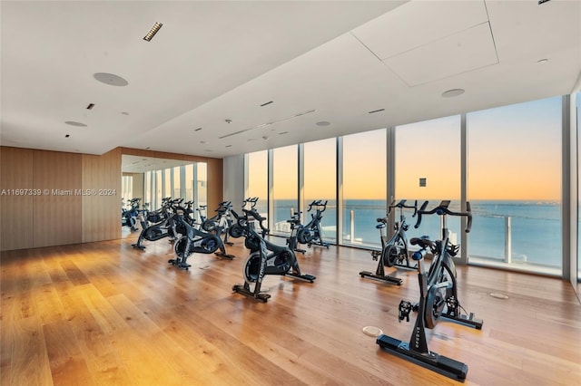 gym with a water view, a wall of windows, and light hardwood / wood-style floors