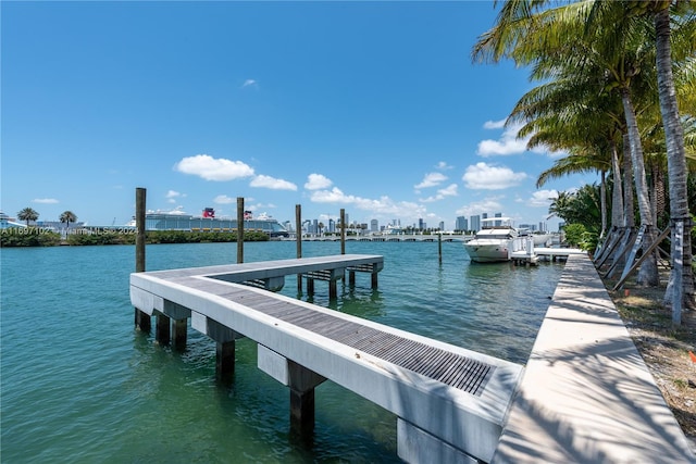 view of dock with a water view