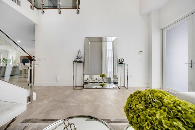 foyer entrance featuring a towering ceiling