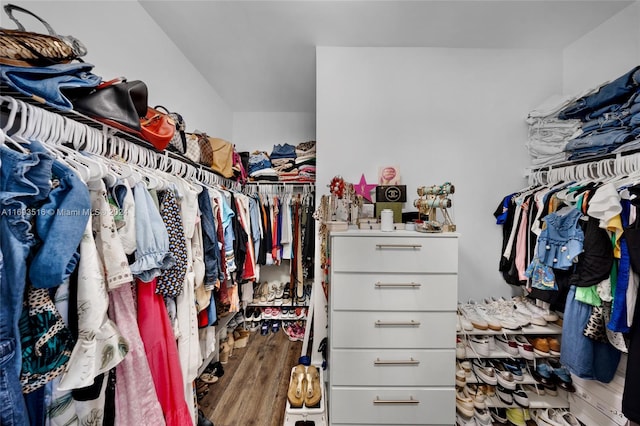 spacious closet featuring dark hardwood / wood-style flooring