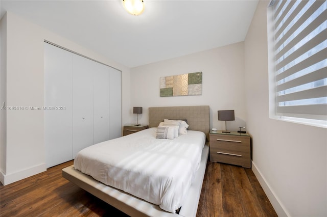 bedroom featuring a closet and dark hardwood / wood-style floors