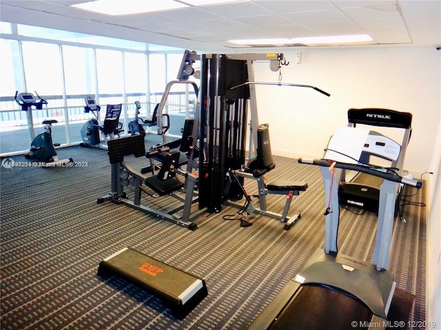 exercise room with floor to ceiling windows, a paneled ceiling, and carpet