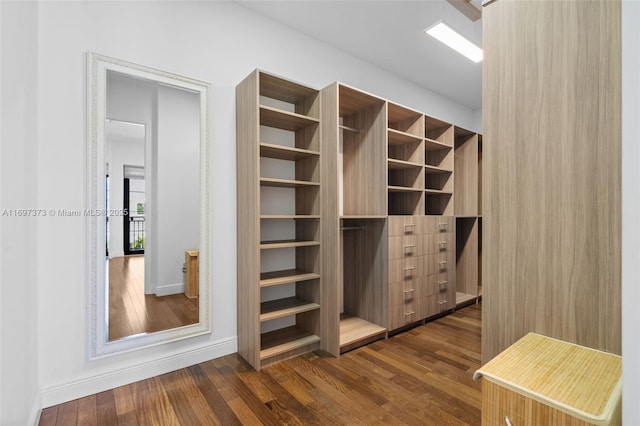 walk in closet featuring dark hardwood / wood-style floors