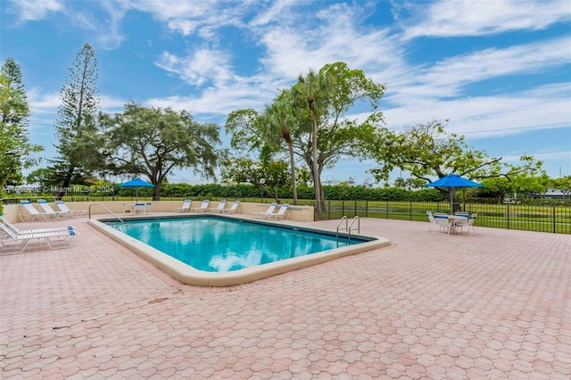 view of swimming pool with a patio