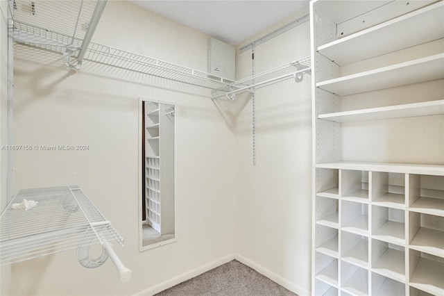 walk in closet with carpet flooring