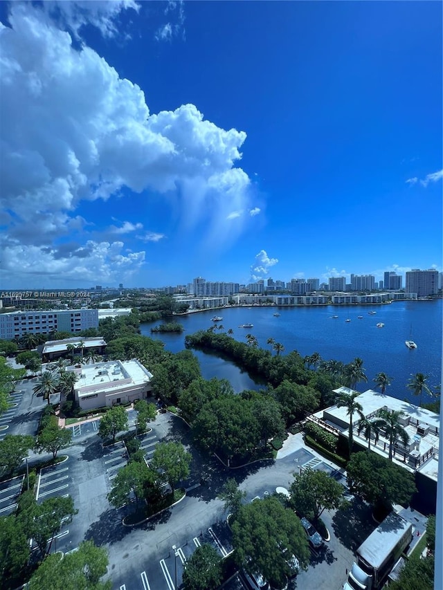 bird's eye view with a water view