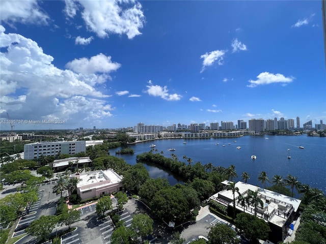 bird's eye view with a water view