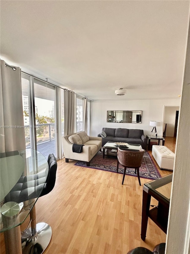 living room featuring hardwood / wood-style floors