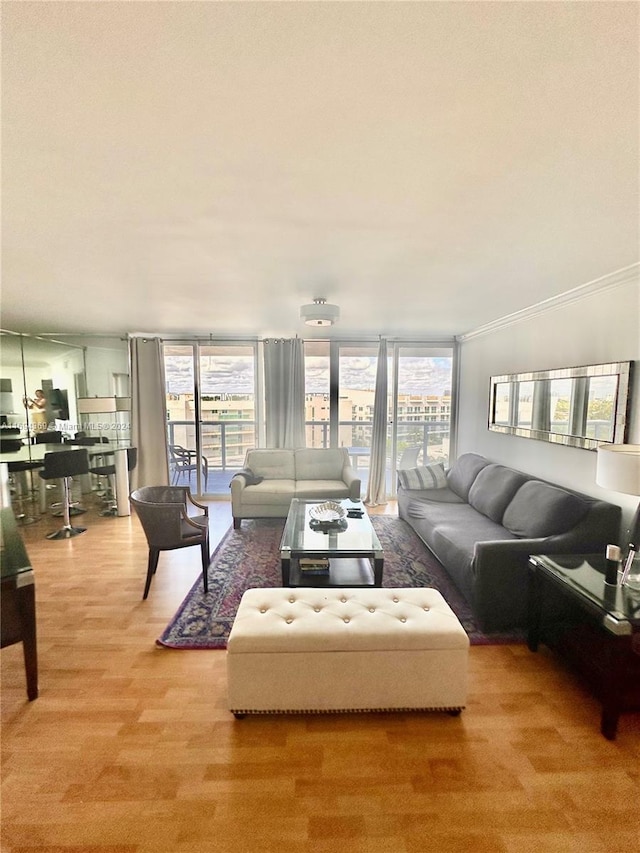 living room with crown molding