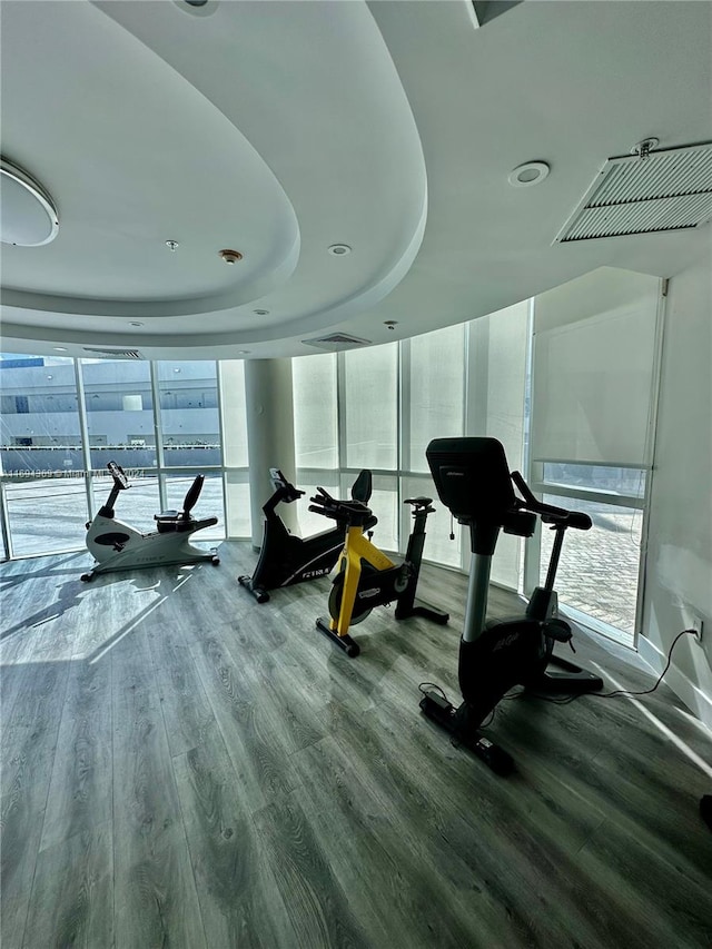 exercise room with a raised ceiling, hardwood / wood-style floors, and expansive windows