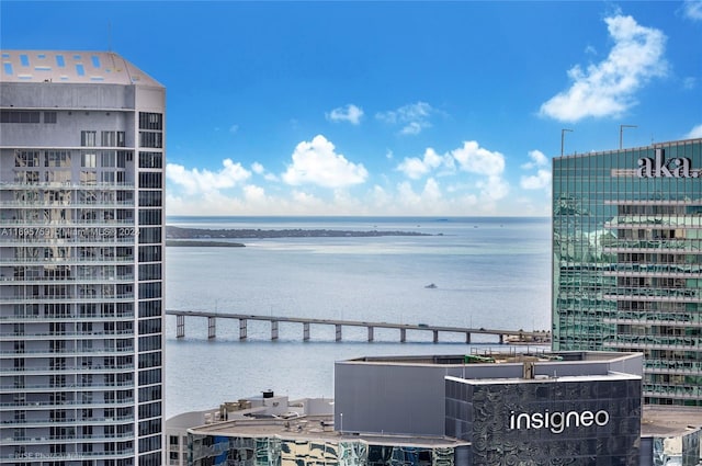 1060 Brickell Ave Unit 4101, Miami, FL 33131 - water view