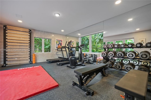 workout room with a healthy amount of sunlight