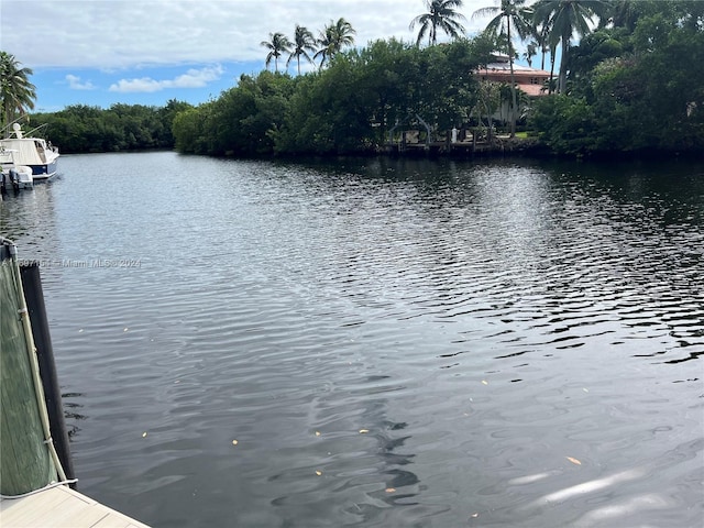 view of water feature