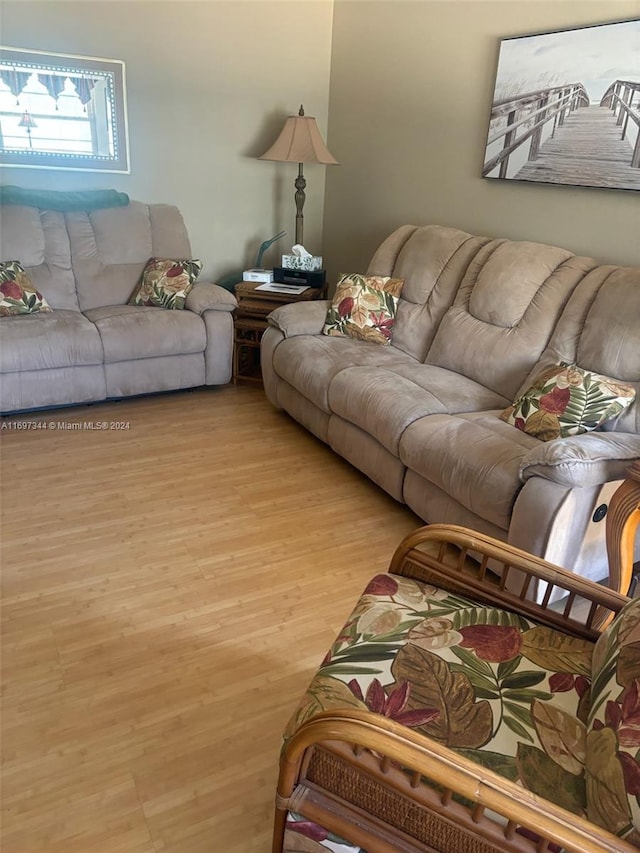 living room featuring light hardwood / wood-style flooring