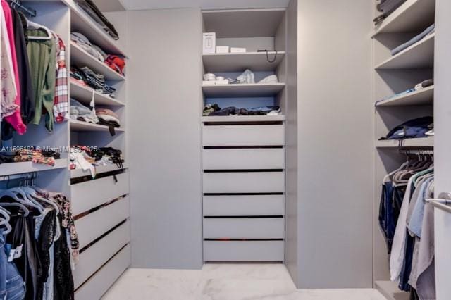 view of spacious closet