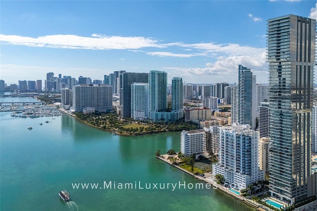 property's view of city featuring a water view