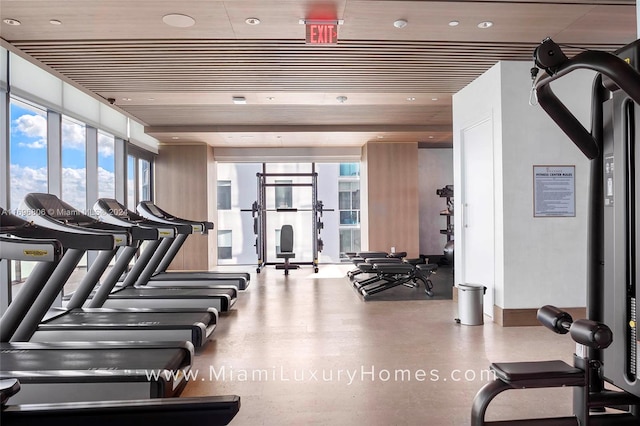 workout area featuring a wealth of natural light