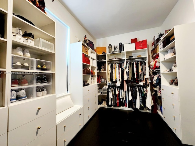 view of walk in closet