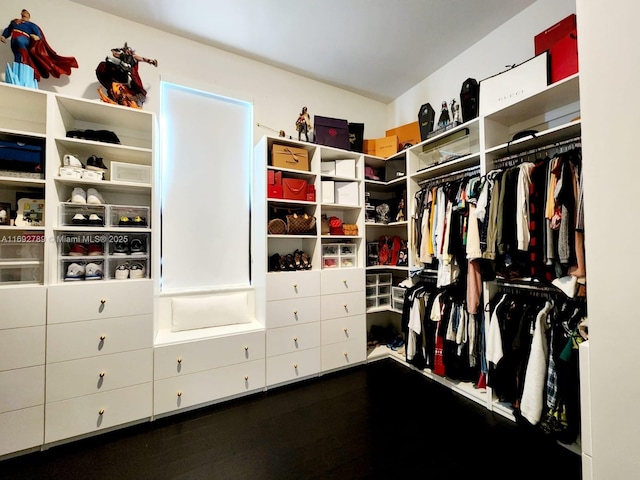 view of walk in closet