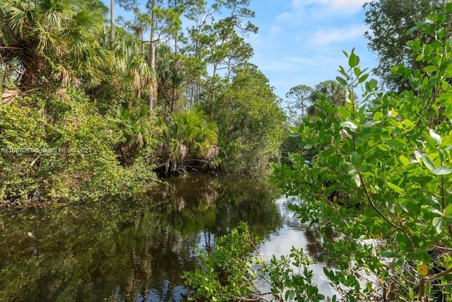 view of landscape with a water view